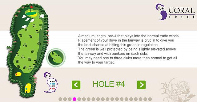 左には民家あり　フェアウェイの広いホール　勝負はグリーン回り