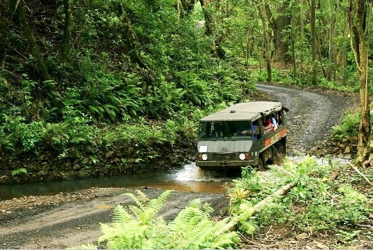 小川も渡れる4WD