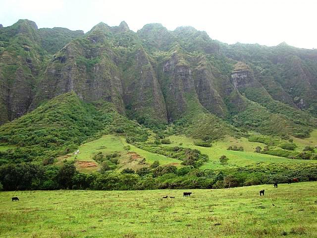 山あり草原あり