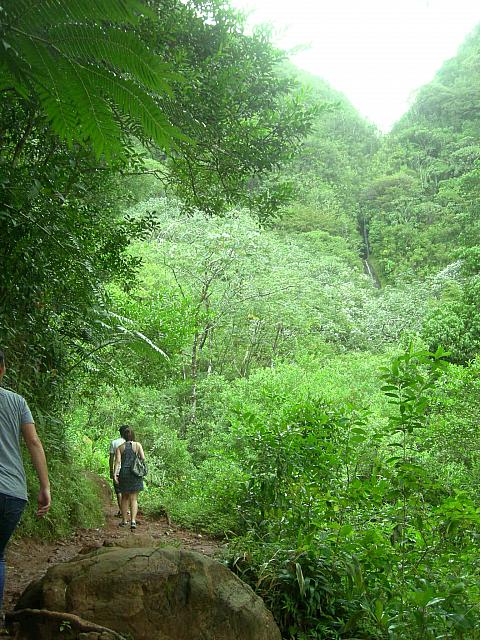 右側の山奥の滝、見えますか？