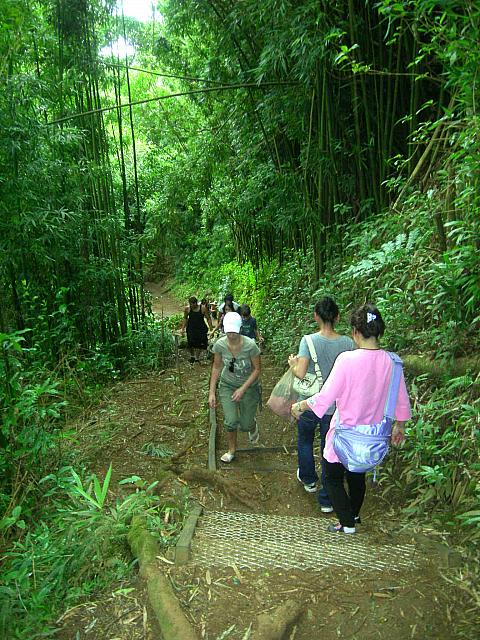 山を降りるのも足のいい運動に