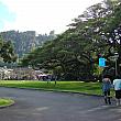 晴れた空に山と木々の緑がなんとも清々しい！ 前回に引き続き今回も「ナビの初詣 in ハワイ」！奥に見えるのはヌウアヌ渓谷にあるハワイ大神宮です。