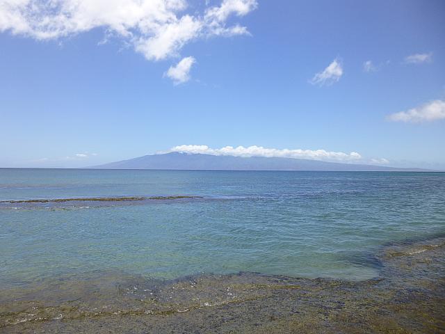 マウイ島からも鯨が見れます
