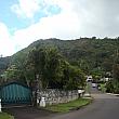 緑深いヌウアヌの住宅街。ハワイに高級住宅街と呼ばれる場所はいくつかありますが、ここもそのひとつ。中でも歴史ある高級住宅街として知られます。