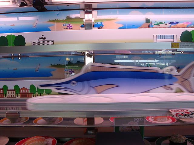 魚くんもはやい！