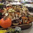 マーケットシティ・ショッピングセンターの中の「フードランド」。スーパーに巨大サイズのかぼちゃがお目見えする時期になりました。ハロウィンシーズン限定の、ジャック・オー・ランタン（かぼちゃ提灯）用。食べられなくはありませんが、あくまで飾り用。おいしくはありません。