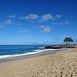 昔ながらのハワイらしさが残るエリアとも、やや危険なエリアともいわれます。ここはナナクリ・ビーチパーク。