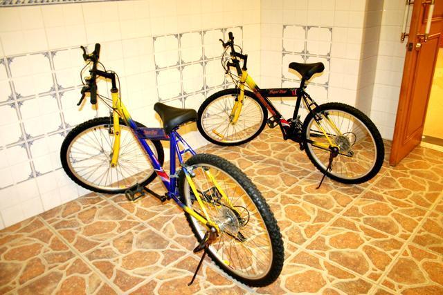 タイパ島周辺をのんびりサイクリングしても、気持ちいいです。