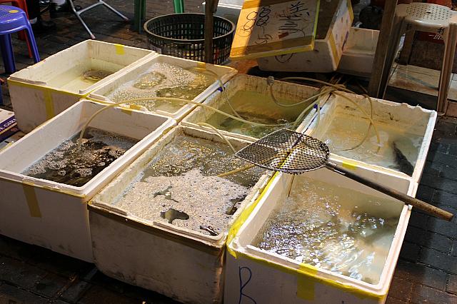 まだ生きている魚介類をそのまま調理！