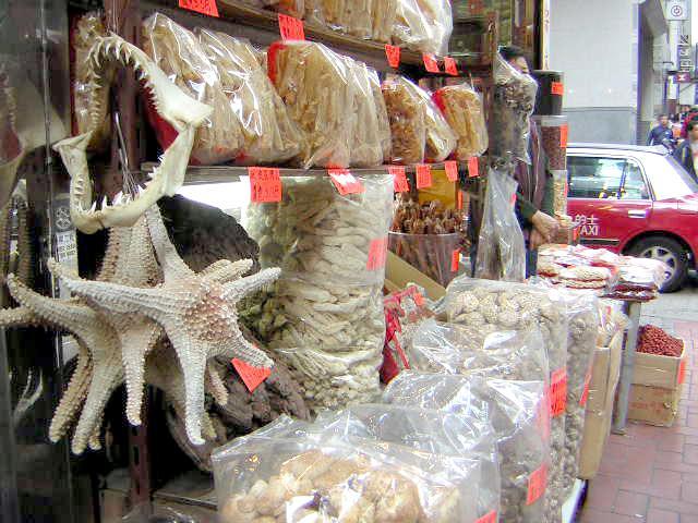 ヒトデ。サメの口。