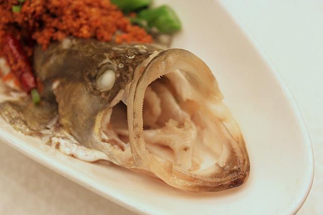 大きな口をあんぐり！
