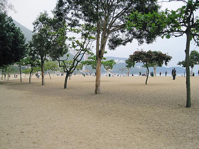 ビーチはとてもきれいです