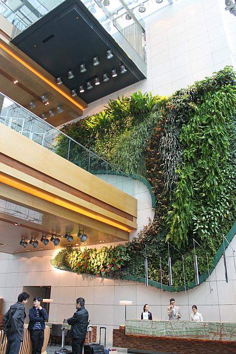 壁の植物は本物です！