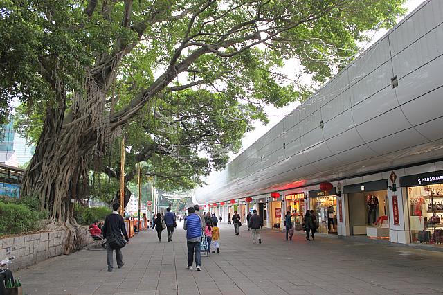香港でも珍しく広い道幅