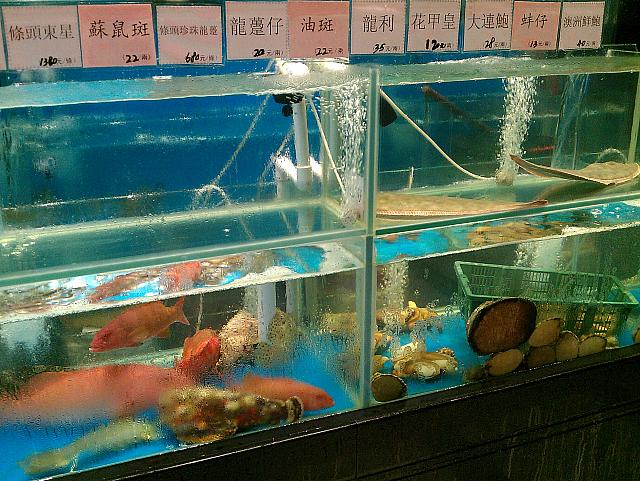 店の入口には水槽もあります