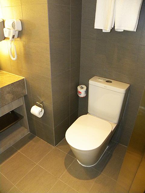 ナビもびっくりするほど、ダブルベッドルームと同じトイレです