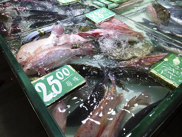 いけすでお魚がピチピチしています！
