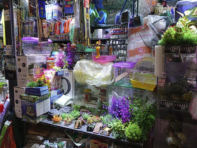 金魚屋さん