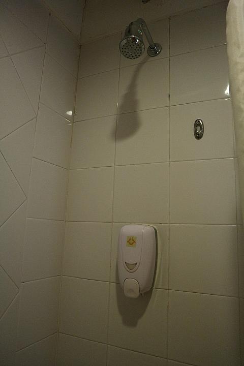 シャワーは固定式