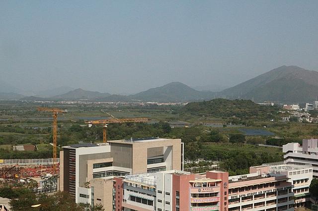 緑の多い場所がウエットランド、湿地公園です。