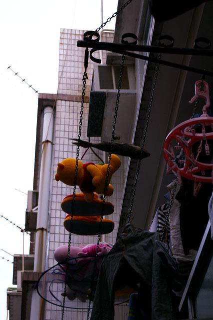魚も洗濯物もみんな一緒に干して、日向ぼっこ！？海辺の生活ならではの一コマ。 