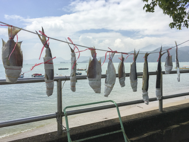 魚の干物（塩漬け）があちこちにぶらさがっています。