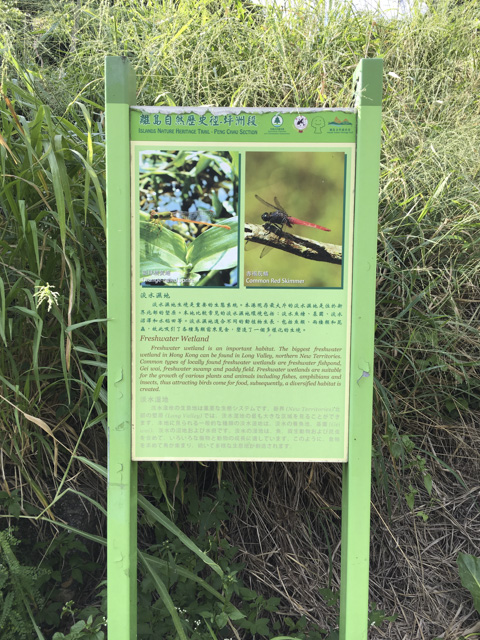 淡水湿地帯らしい。
