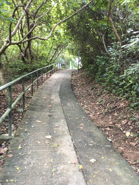 山道に入ると、木々が強い日差しを遮ってくれるので涼しくて気持ちがいい！