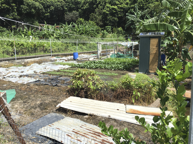 下まで降りてくると、畑もあったり。