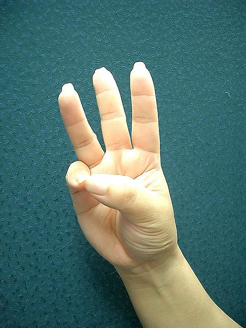 ８　八（捌）バッ