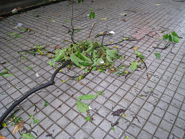 秋の半ばまで台風シーズン。天気予報確認は必須。