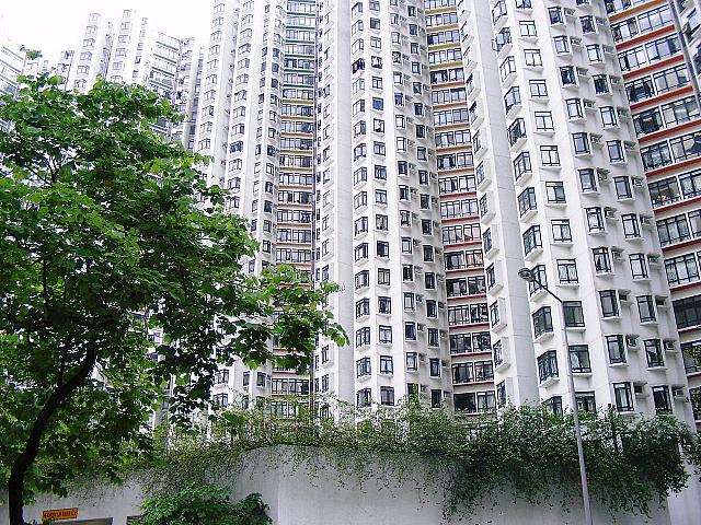 高層マンションの周りには緑もいっぱい