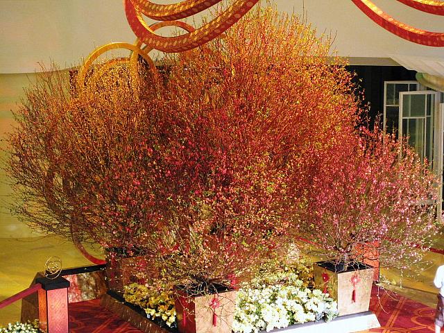 桃の花も豪華です