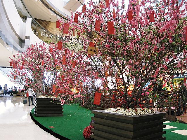 不老長寿を与えるとされる桃の花