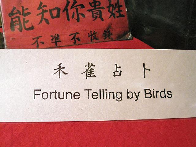 文鳥による占い専門です