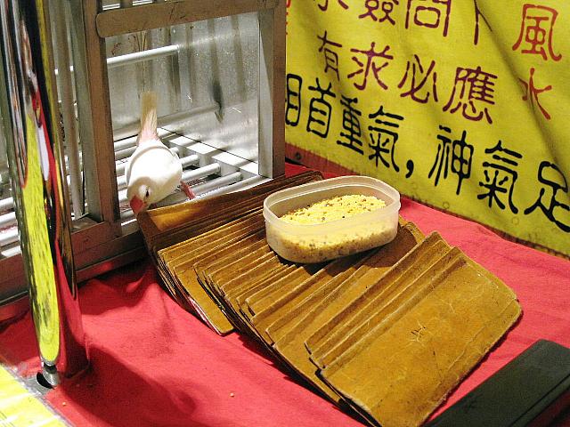 占い結果を選んでくれました
