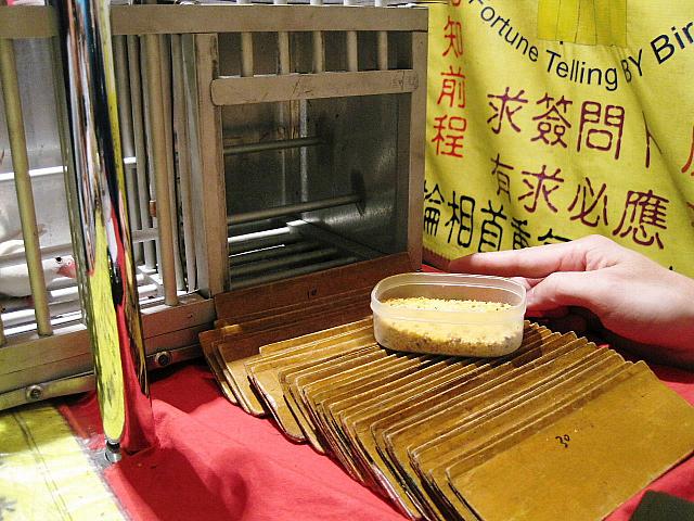 まずは餌で文鳥を引き寄せます