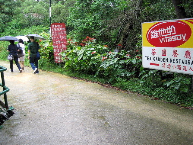 途中植物観察も楽しめます
