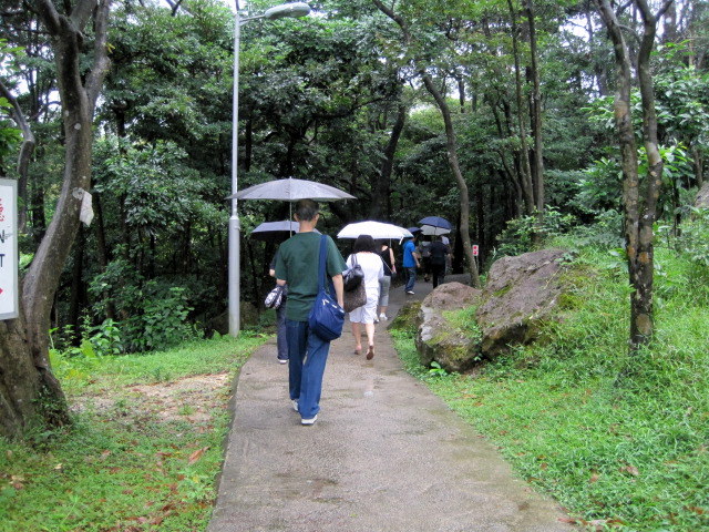 ) いよいよ山の中へ入ります