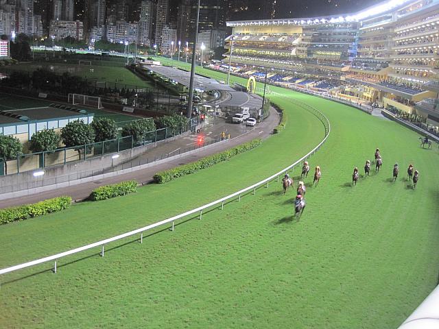 競馬で運をつかもう