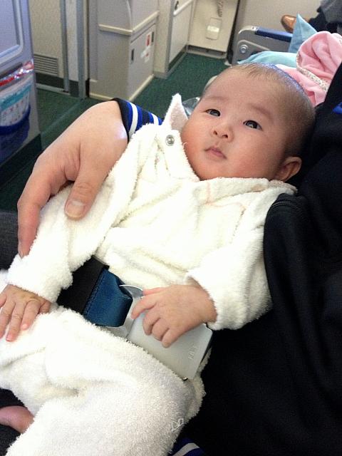 赤ちゃん用のシートベルト