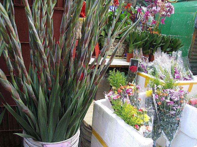 食材だけでなく、こんなお花屋さんとか…