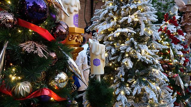 クリスマスツリーのオンパレード（笑）！