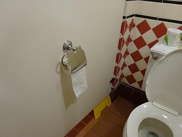 個室の設備はトイレットペーパーしかありません。