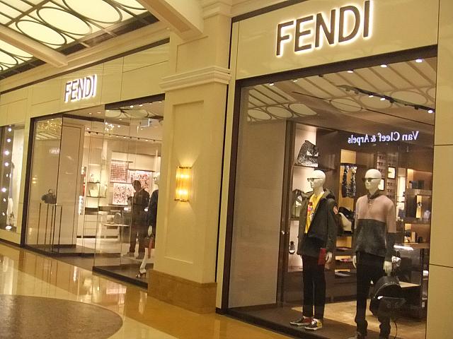 フェンディのようす