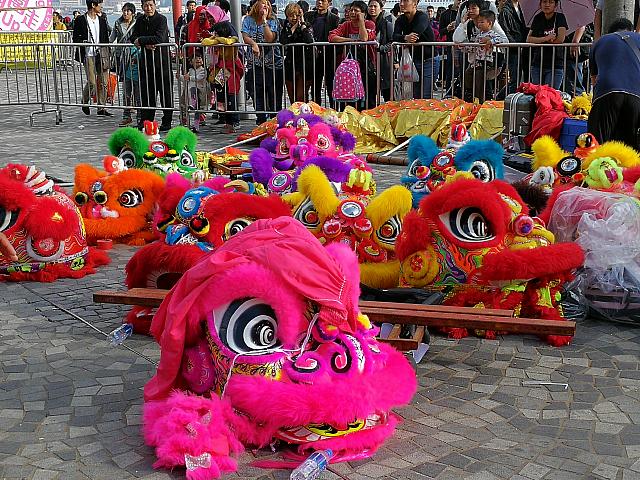 それでも大好きなライオンやドラゴンを間近に見られて大興奮！