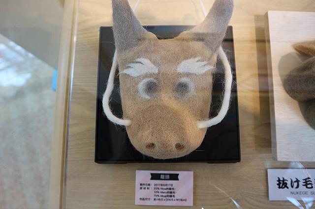 抜け毛ドラゴン