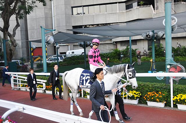 武豊鞍上のスマートレイアー