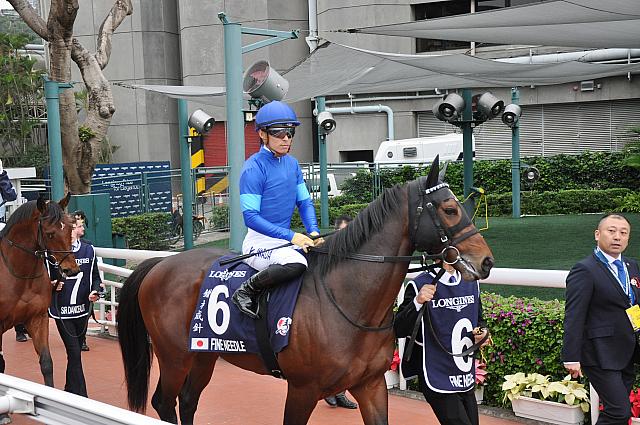 馬場に向かうファインニードル
