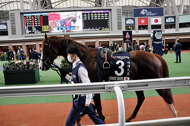 パドックでのアドマイヤマーズ